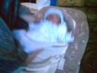 pict0021_small.jpg