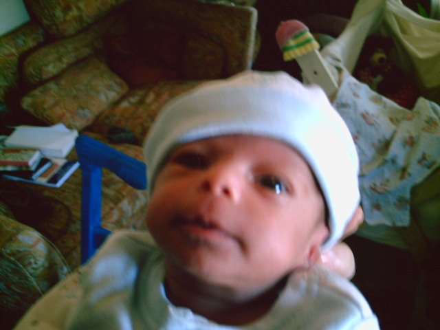 pict0022.jpg